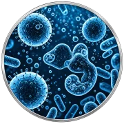 Enzyme Treatment