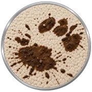 Dirt & Mud Stains